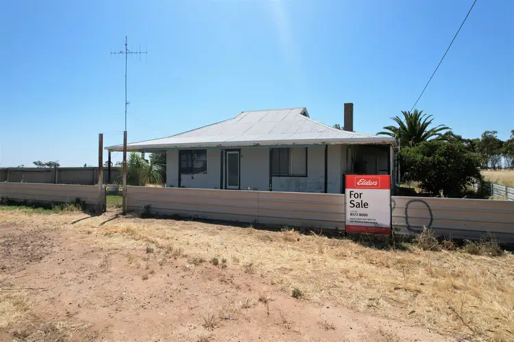 Main view of Homely house listing, 20 Foster Road, Pinnaroo SA 5304
