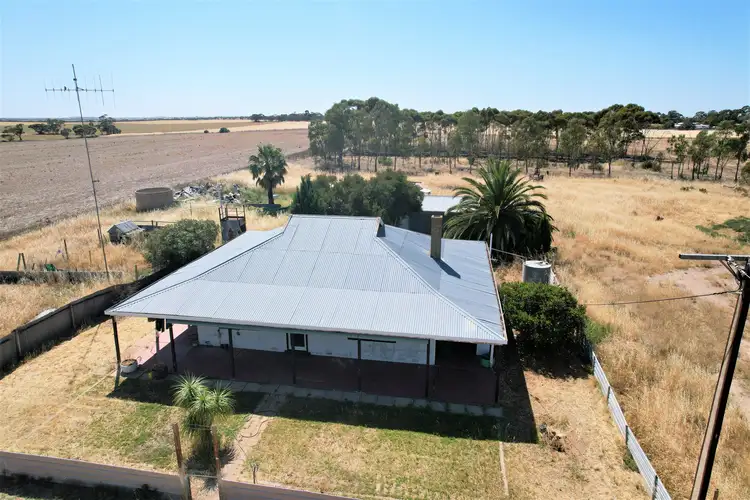 Second view of Homely house listing, 20 Foster Road, Pinnaroo SA 5304