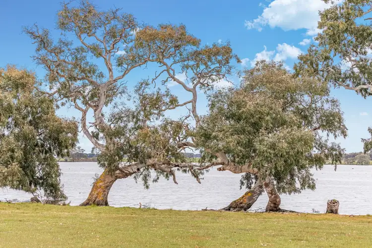 Fifth view of Homely rural property listing, 2458 Western Highway, Burrumbeet VIC 3352