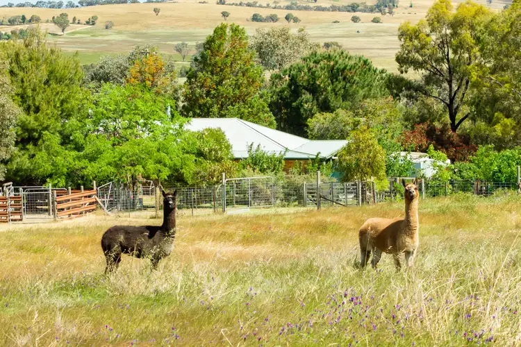 Third view of Homely rural property listing, Kangaroo Flat Road, Darbys Falls NSW 2793