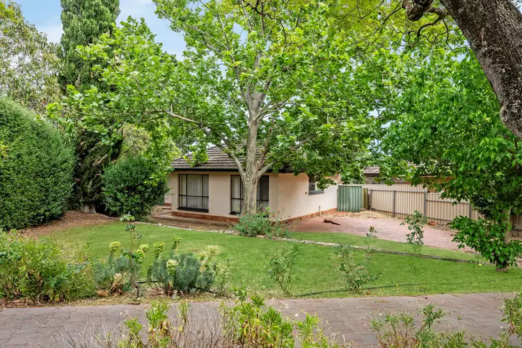 15 Catherine Street, Clapham SA 5062