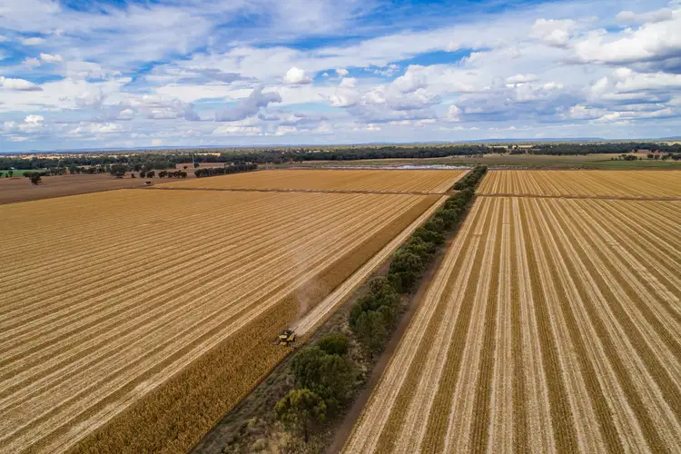 Second view of Homely rural property listing, 4010 Lachlan Valley Way, Forbes NSW 2871