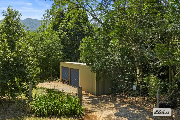 Third view of Homely house listing, 194 Stoddarts Road, Tyalgum NSW 2484