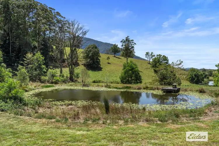Fourth view of Homely house listing, 194 Stoddarts Road, Tyalgum NSW 2484