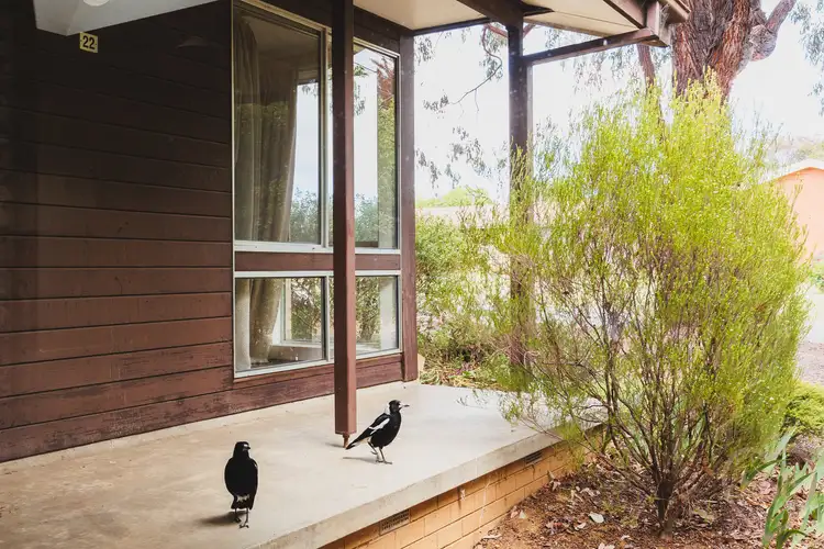 Fourth view of Homely house listing, 22 Skardon Street, Kaleen ACT 2617