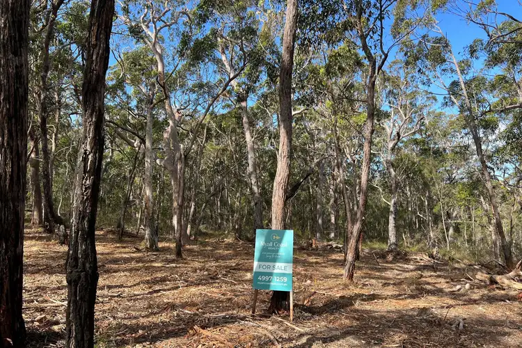 Main view of Homely land listing, LOT 23 Carrington Avenue, Pindimar NSW 2324