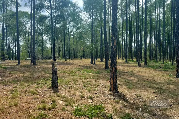 Second view of Homely land listing, Lot 562 Arborcrescent Road, Glenwood QLD 4570