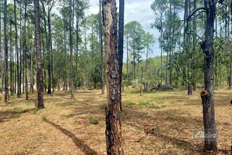 Sixth view of Homely land listing, Lot 562 Arborcrescent Road, Glenwood QLD 4570