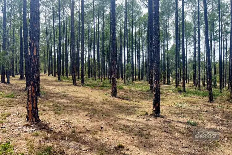 Seventh view of Homely land listing, Lot 562 Arborcrescent Road, Glenwood QLD 4570