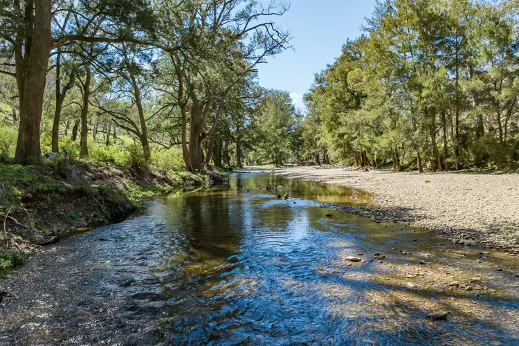 Main view of Homely rural property listing, 902 Palmers Oakey Road, Palmers Oaky NSW 2795