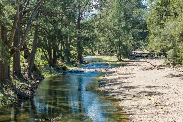 Fourth view of Homely rural property listing, 902 Palmers Oakey Road, Palmers Oaky NSW 2795