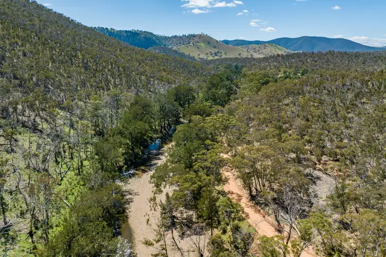 Seventh view of Homely rural property listing, 902 Palmers Oakey Road, Palmers Oaky NSW 2795