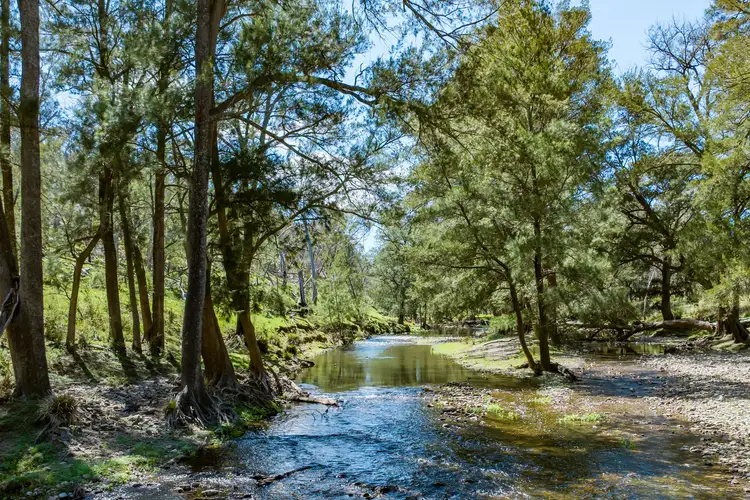Second view of Homely rural property listing, 902 Palmers Oaky Road, Palmers Oaky NSW 2795
