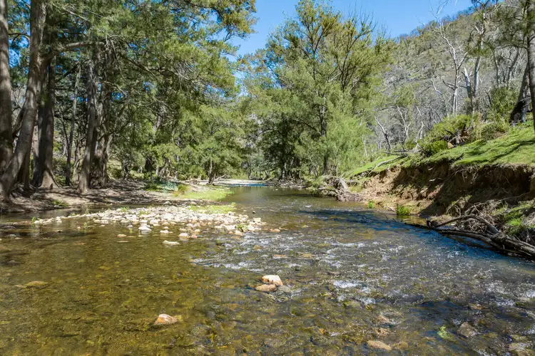 Fifth view of Homely rural property listing, 902 Palmers Oaky Road, Palmers Oaky NSW 2795
