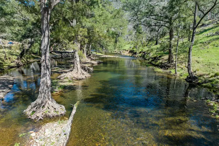 Seventh view of Homely rural property listing, 902 Palmers Oaky Road, Palmers Oaky NSW 2795