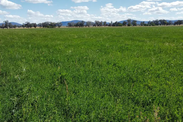 Third view of Homely rural property listing, Lachlan Valley Way, Gooloogong NSW 2805