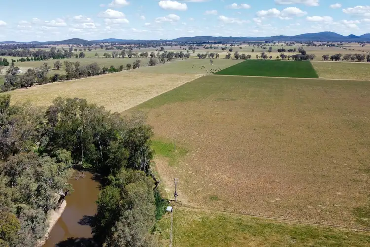 Sixth view of Homely rural property listing, Lachlan Valley Way, Gooloogong NSW 2805