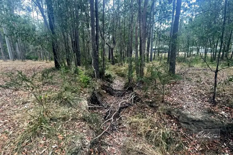 Sixth view of Homely land listing, Lot 309 Spiegel Road, Glenwood QLD 4570