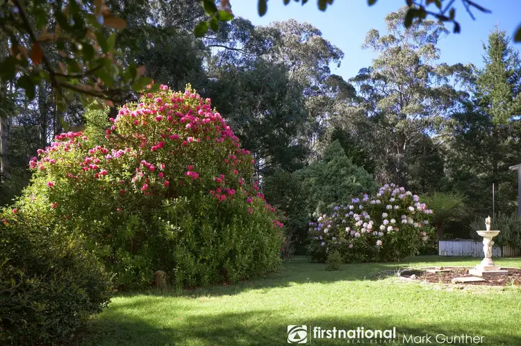 Sixth view of Homely house listing, 418 Maroondah Highway, Narbethong VIC 3778