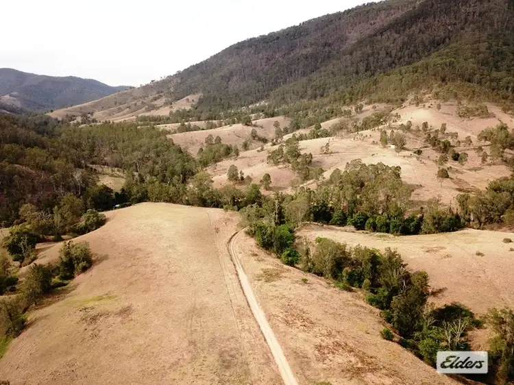 Main view of Homely rural property listing, 1463 Cells Road, Cells River NSW 2424