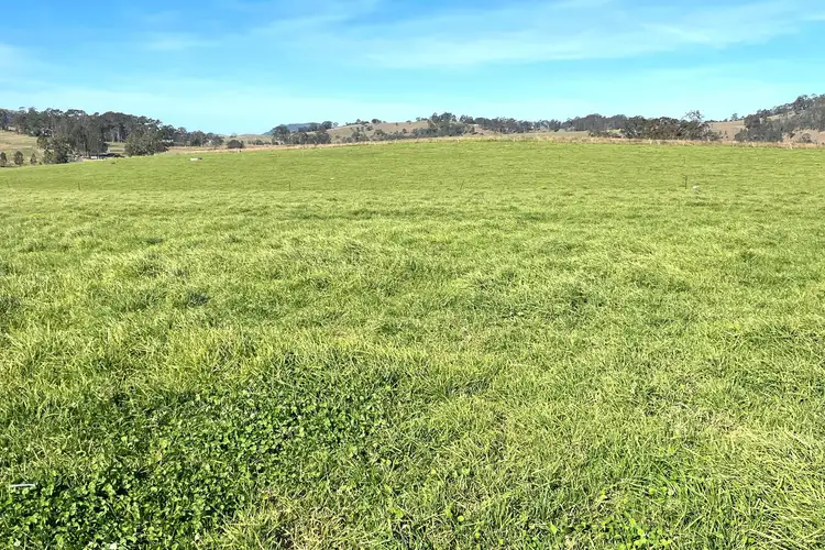Seventh view of Homely rural property listing, Lot 12/378 Paterson River Road, Gresford NSW 2311