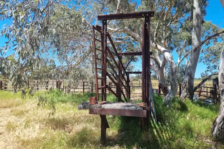 Seventh view of Homely rural property listing, 1154 Greenlands Road, Nirimba WA 6208