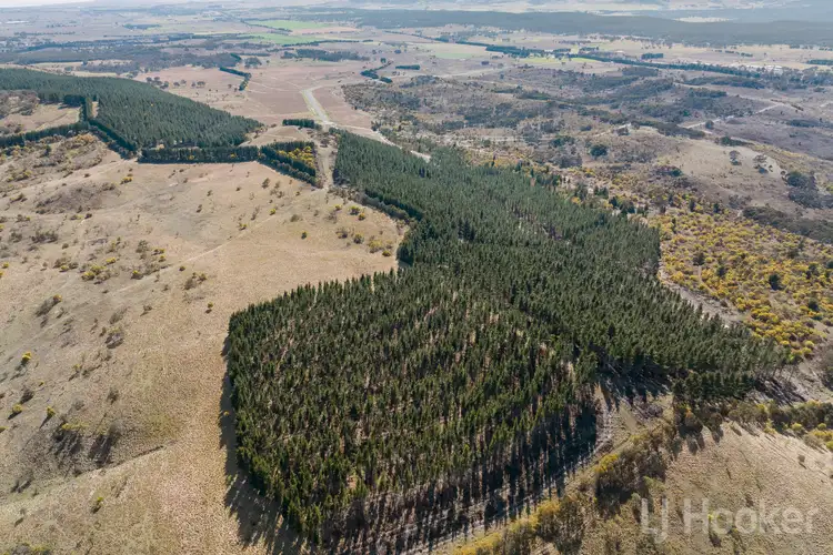 Third view of Homely rural property listing, LOT 6, 854 Hoskinstown Road, Bungendore NSW 2621