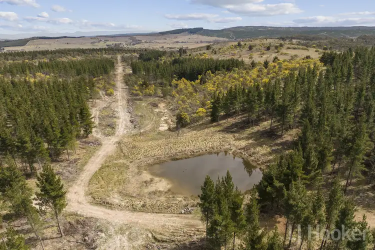 Third view of Homely rural property listing, LOT 8, 854 Hoskinstown Road, Bungendore NSW 2621
