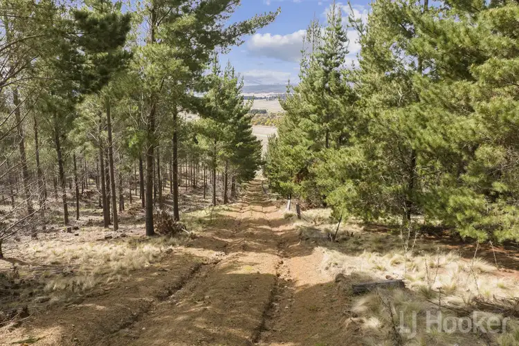 Fifth view of Homely rural property listing, LOT 8, 854 Hoskinstown Road, Bungendore NSW 2621