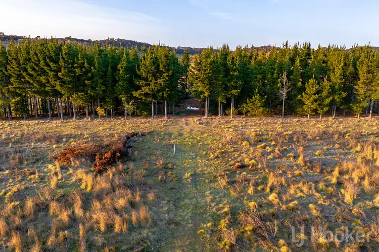 Fifth view of Homely rural property listing, LOT 12, 854 Hoskinstown Road, Bungendore NSW 2621