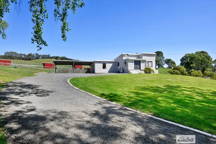 599 Circular Road, East Ridgley TAS 7321