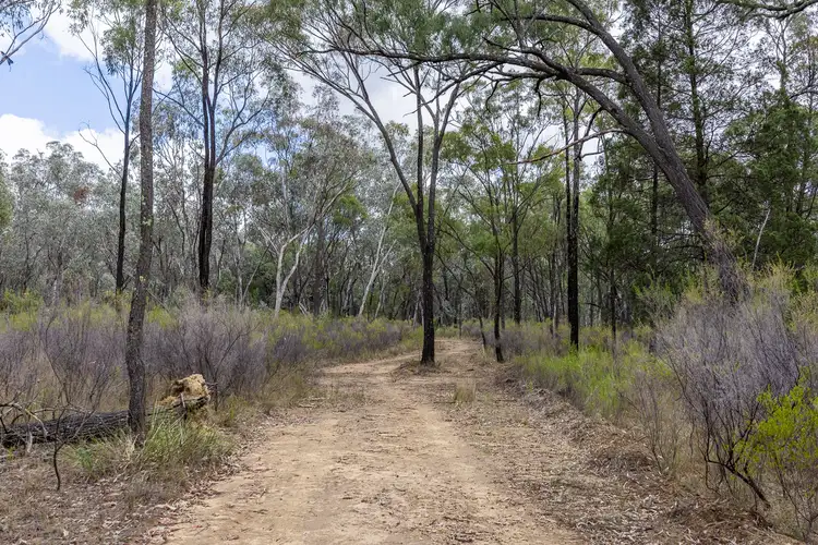 Third view of Homely rural property listing, 4300 Purlewaugh Road, Coolah NSW 2843