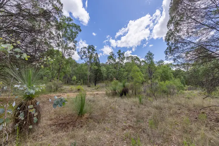 Sixth view of Homely rural property listing, 4300 Purlewaugh Road, Coolah NSW 2843