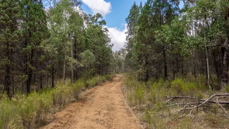 Seventh view of Homely rural property listing, 4300 Purlewaugh Road, Coolah NSW 2843