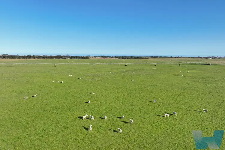 Third view of Homely rural property listing, 29 Lower Goon Nure Road, Goon Nure VIC 3875