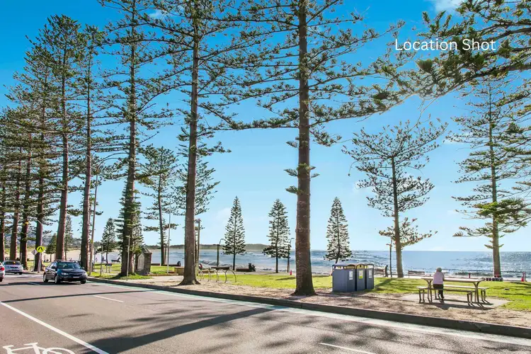 Sixth view of Homely apartment listing, 3/8 Wheeler Parade, Dee Why NSW 2099