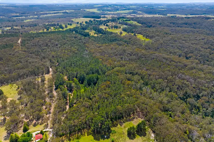 Third view of Homely rural property listing, 77 Dunlop Lane, Penrose NSW 2579