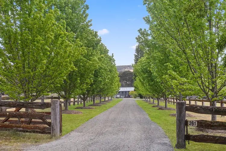 Main view of Homely rural property listing, 261 Inverary Road, Paddys River NSW 2577