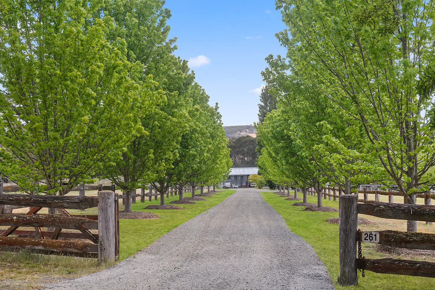 Main view of Homely rural property listing, 261 Inverary Road, Paddys River NSW 2577