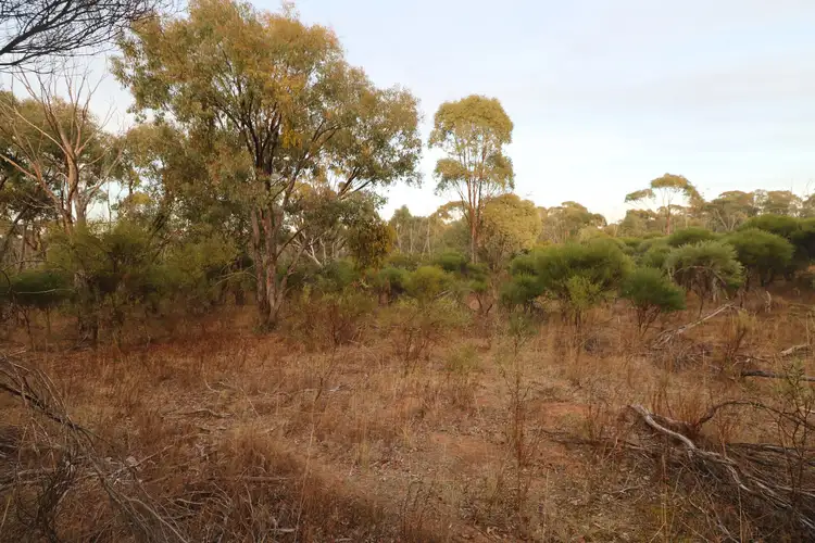 Fifth view of Homely rural property listing, LOT 8 Boort-Wedderburn Road, Wedderburn VIC 3518