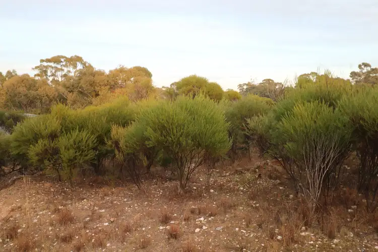 Sixth view of Homely rural property listing, LOT 8 Boort-Wedderburn Road, Wedderburn VIC 3518