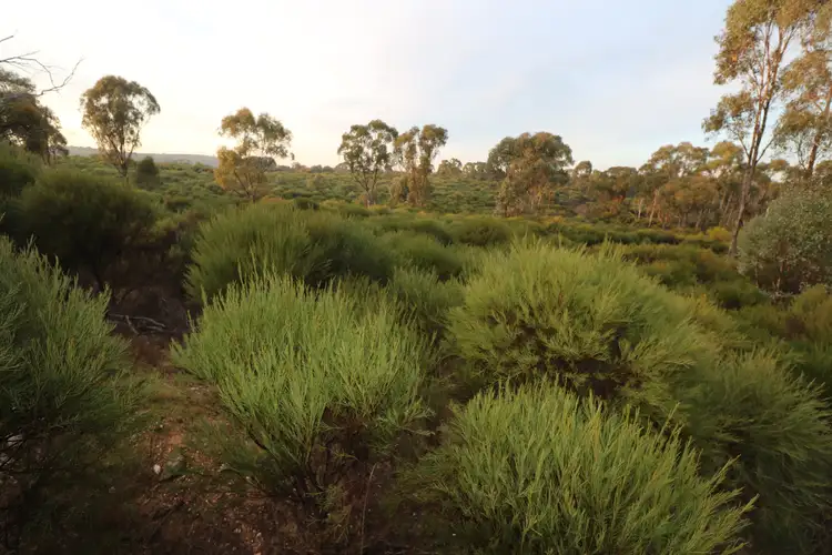 Seventh view of Homely rural property listing, LOT 8 Boort-Wedderburn Road, Wedderburn VIC 3518