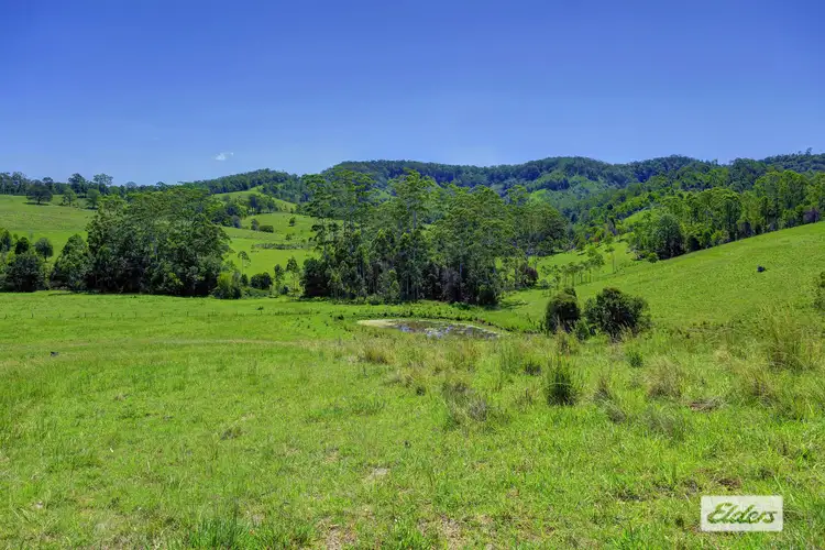 Kings Creek Road