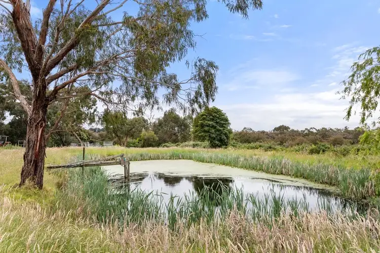 Fifth view of Homely house listing, 535 Baxter-Tooradin Road, Langwarrin South VIC 3911
