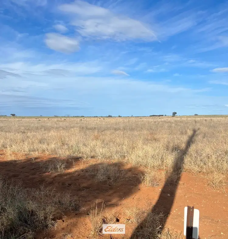 Main view of Homely land listing, LOT 1 Calder Highway, Carwarp VIC 3494