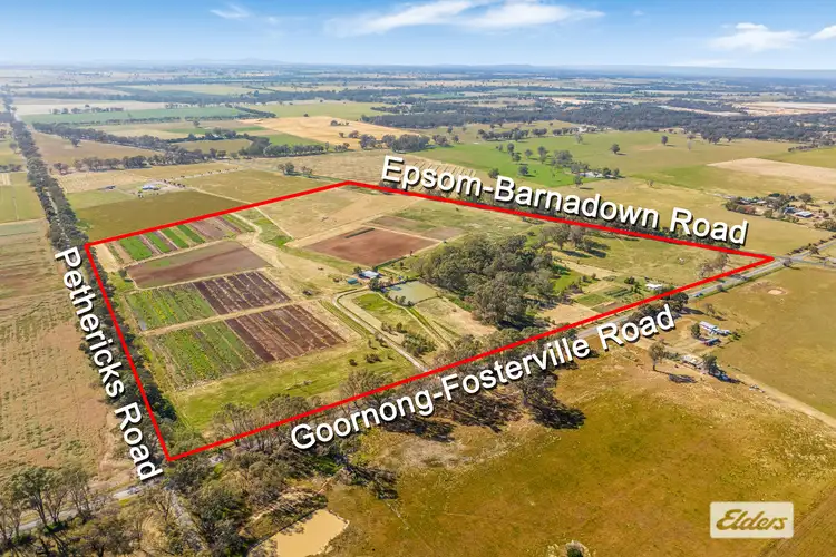 421 Goornong-Fosterville Road, Goornong VIC 3557