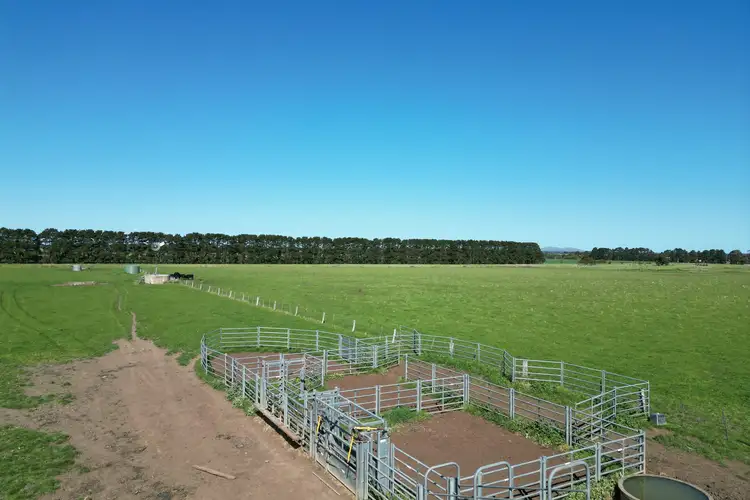 Main view of Homely rural property listing, Dales Lane, Mortlake VIC 3272