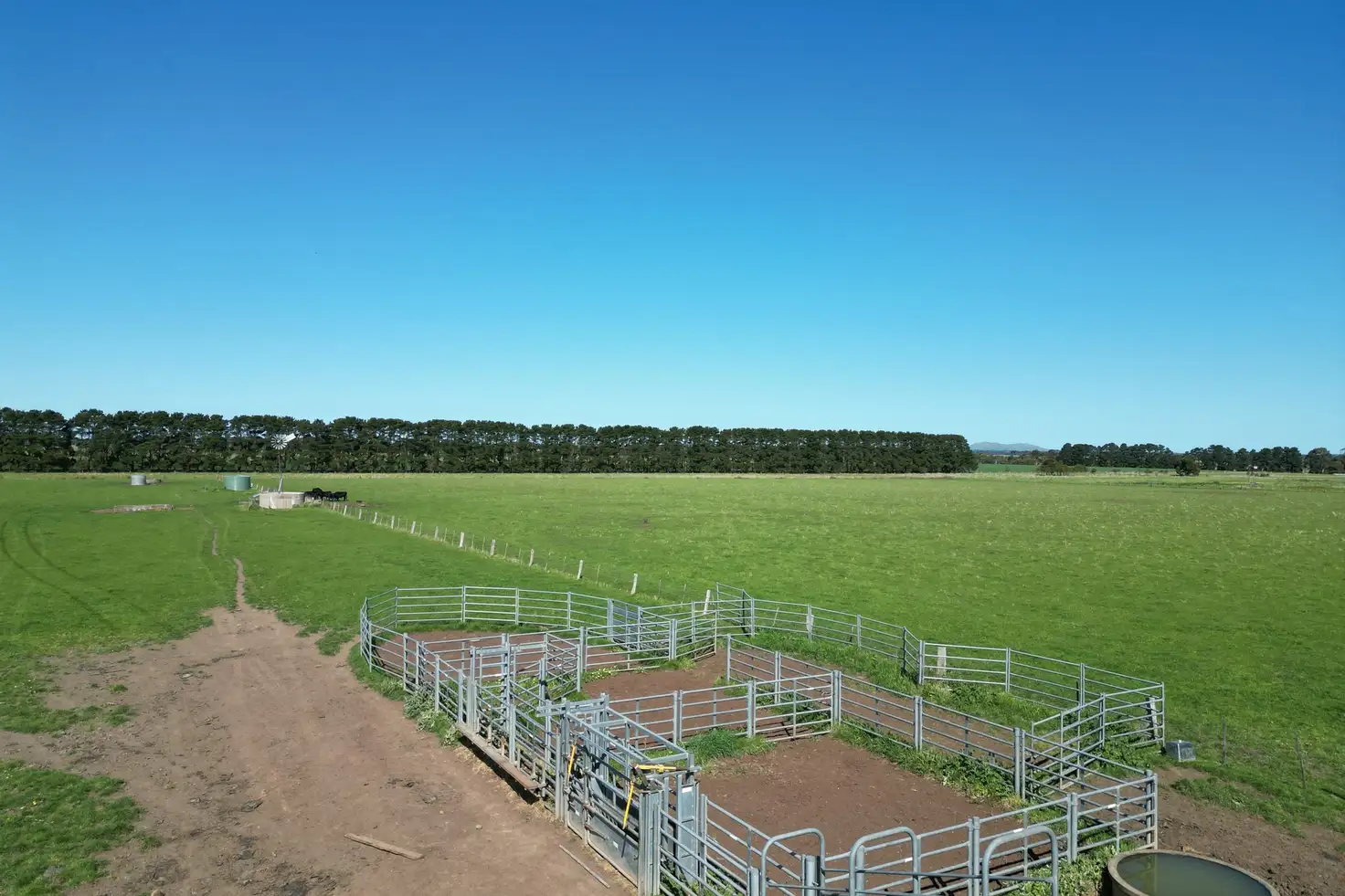 Main view of Homely rural property listing, Dales Lane, Mortlake VIC 3272