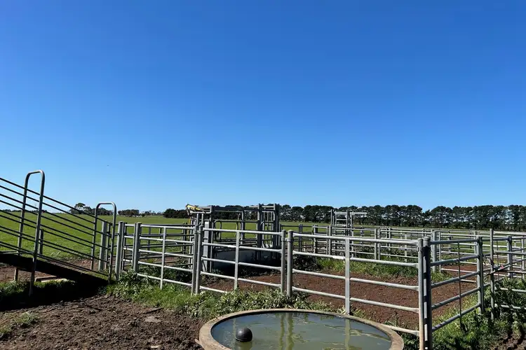 Fourth view of Homely rural property listing, Dales Lane, Mortlake VIC 3272