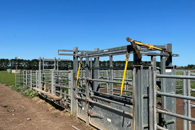 Fifth view of Homely rural property listing, Dales Lane, Mortlake VIC 3272
